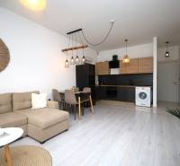 Rekreační apartmán s podlahou s dřevěným dekorem, rohovou sedačkou a moderní kuchyní.