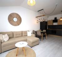 Obývací pokoj v rekreačním apartmánu s kuchyní, pohovkou a dekorativními prvky na stěně.