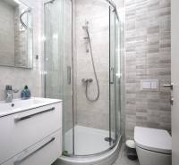 Koupelna v Rekreačním apartmánu s moderním sprchovým koutem a minimalistickým zařízením.