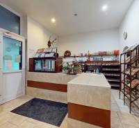 Interiér obchodních prostor s pultem, regály a rostlinami na dlažbě.