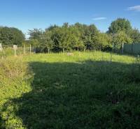 Zahrada u rodinného domu v Diakovcích s bujnou trávou a zelenými keři.