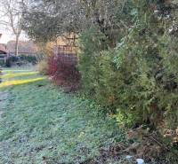 Zahrada rodinného domu v Tomášovcích s hustou vegetací a travnatou plochou.