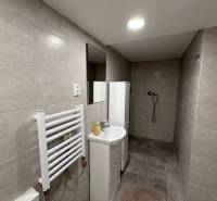 Koupelna v 1-pokojovém bytě s obklady ve světlých odstínech a sprchovým koutem.