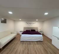 Interiér 1-pokojového bytu s postelí, pohovkou a podlahou s dřevěným dekorem.