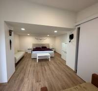 1pokojový byt s postelí, pohovkou a podlahou s dřevěným dekorem.