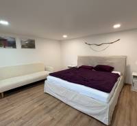 Ložnice v jednopokojovém bytě s pohovkou, postelí a podlahou s dřevěným dekorem.