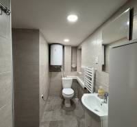 Koupelna v 1-pokojovém bytě se sprchovým koutem, umyvadlem a WC, dlaždice na stěnách.