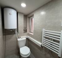 Koupelna v 1-pokojovém bytě se sanitou, bojlerem a bílým žebříkovým radiátorem.