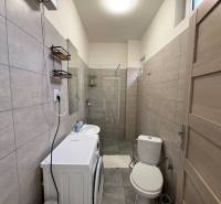 Koupelna v 1-pokojovém bytě s pračkou, umyvadlem a sprchovým koutem v neutrálních odstínech.