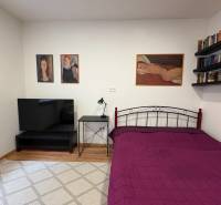 Ložnice v jednopokojovém bytě s televizorem a obrazy na strohých stěnách.