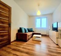 Obývací pokoj v 2-pokojovém bytě s pohovkou a podlahou s dřevěným dekorem.