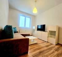 Obývací pokoj dvoupokojového bytu s pohovkou, televizorem a podlahou s dřevěným dekorem.