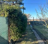 Zahrady v Nové osadě Komárna, plot se zelenými jehličnany a kamenná cestička.