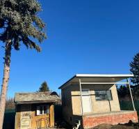 Zahrady v Nové osadě v Komárně s malými stavbami a jehličnatým stromem.