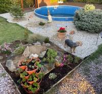 Zahrada v Kráľové nad Váhom u chaty s bazénem, květinami a psem.