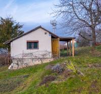 Chata v Prešově obklopená ovocnými stromy a svěží zelení na svažitém pozemku.