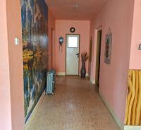 Chodba v rodinném domě s podlahou s dřevěným dekorem a nástěnnou dekorací.