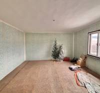 Pokoj v rodinném domě s modrými tapetami, stromek, okno a uložené předměty.