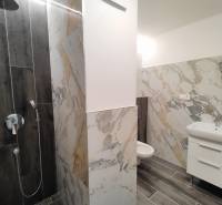 Koupelna v 2-pokojovém bytě s mramorovými obklady a podlahou s dřevěným dekorem.