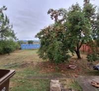 Rodinný dům v Zacharovcích s ovocnými stromy v zahradě a dřevěným plotem.