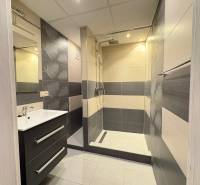 Koupelna se sprchovým koutem a umyvadlem v 3-pokojovém bytě.