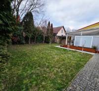 Zahrada u domu na Lesní ulici v Bance s trávníkem a terasou.