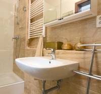 Koupelna s umyvadlem, sprchou a zrcadlovou skříňkou v 2pokojovém bytě.