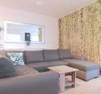 Obývací pokoj v 2pokojovém bytě s šedou pohovkou a tapetou s lesním motivem.