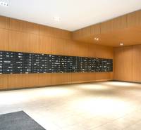 Obložené stěny dřevěným dekorem, poštovní schránky, dlažba, interiér 2-pokojového bytu.