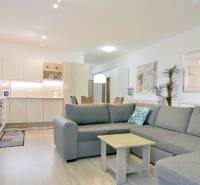 Obývací pokoj s kuchyní v 2pokojovém bytě, šedá sedačka, skříň, podlaha s dřevěným dekorem.