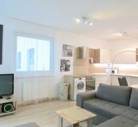 Obývací pokoj s kuchyňským koutem, sedačkou a podlahou s dřevěným dekorem ve 2pokojovém bytě.