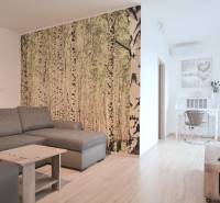 Obývací pokoj v 2-pokojovém bytě s pohovkou, tapetou lesa a dřevěným dekorem.