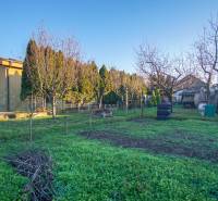 Zahrada u rodinného domu na ulici Pod kopcem v Nových Zámcích, obklopená stromy.