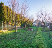 Zahrada u rodinného domu v Nových Zámcích na ulici Pod kopcem, s trávníkem a stromy.