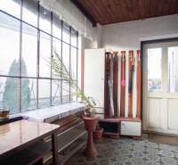 Interiér v rodinném domě s květináčem, stolem a věšákem na deštníky.