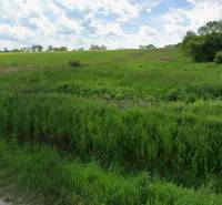 Pozemek na bydlení v Lomnické, Vranov nad Topľou, s travnatou plochou a kopcovitou krajinou.