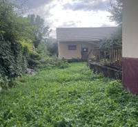 Zahrada vedle rodinného domu v Šali, obklopená bujnou zelení a stromy.