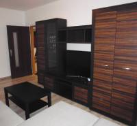 Obývací pokoj s nábytkem a podlahou s dřevěným dekorem v 2pokojovém bytě.