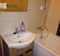 Koupelna s vanou a umyvadlem v 2-pokojovém bytě.