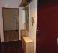 Vstupní hala 2pokojového bytu s tmavou podlahou a světlým nábytkem.