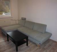 Obývací pokoj v dvoupokojovém bytě s šedou sedačkou a podlahou s dřevěným dekorem.