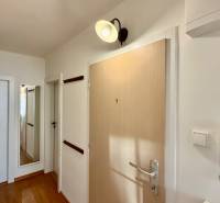 Chodba v 3-pokojovém bytě s podlahou s dřevěným dekorem a nástěnným obrazem.