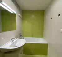 Koupelna v 2-pokojovém bytě se zelenými obklady, umyvadlem a vanou.