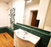 Koupelna v rodinném domě s podlahou s dřevěným dekorem a sprchou.