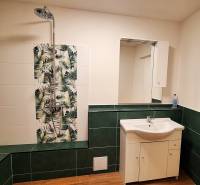 Koupelna v rodinném domě s umyvadlem, sprchou a zelenou kachličkovou dekorací.