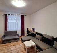 Obývací pokoj v rodinném domě s rohovou sedačkou a podlahou s dřevěným dekorem.