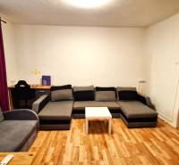 Obývací pokoj v rodinném domě s podlahou s dřevěným dekorem a šedým nábytkem.