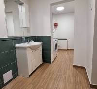 Koupelna v rodinném domě s podlahou s dřevěným dekorem a pračkou.