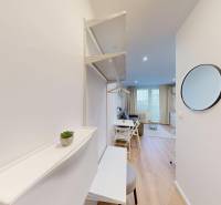 Předsíň garsonky s podlahou s dřevěným dekorem, zrcadlem a vstupem do obývacího prostoru.