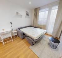 Garsonka s rozkládací pohovkou, stolem a podlahou s dřevěným dekorem.